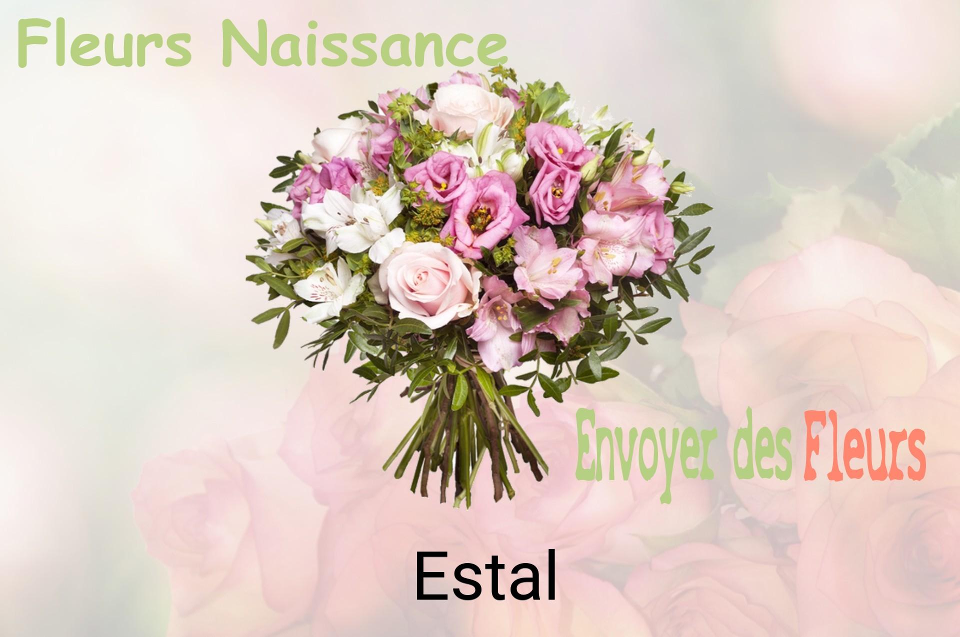 Bouquet de fleurs de naissance livré à Estal